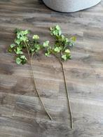 2x Lange Kunsttakken 1.20cm hoog, Ophalen of Verzenden, Zo goed als nieuw, Binnen