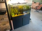 Aquarium, Ophalen, Gebruikt, Leeg aquarium