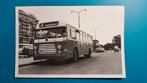 Foto Alkmaar bus NACO stadsdienst 3204, Verzamelen, Ophalen of Verzenden, 1960 tot 1980, Ongelopen, Noord-Holland