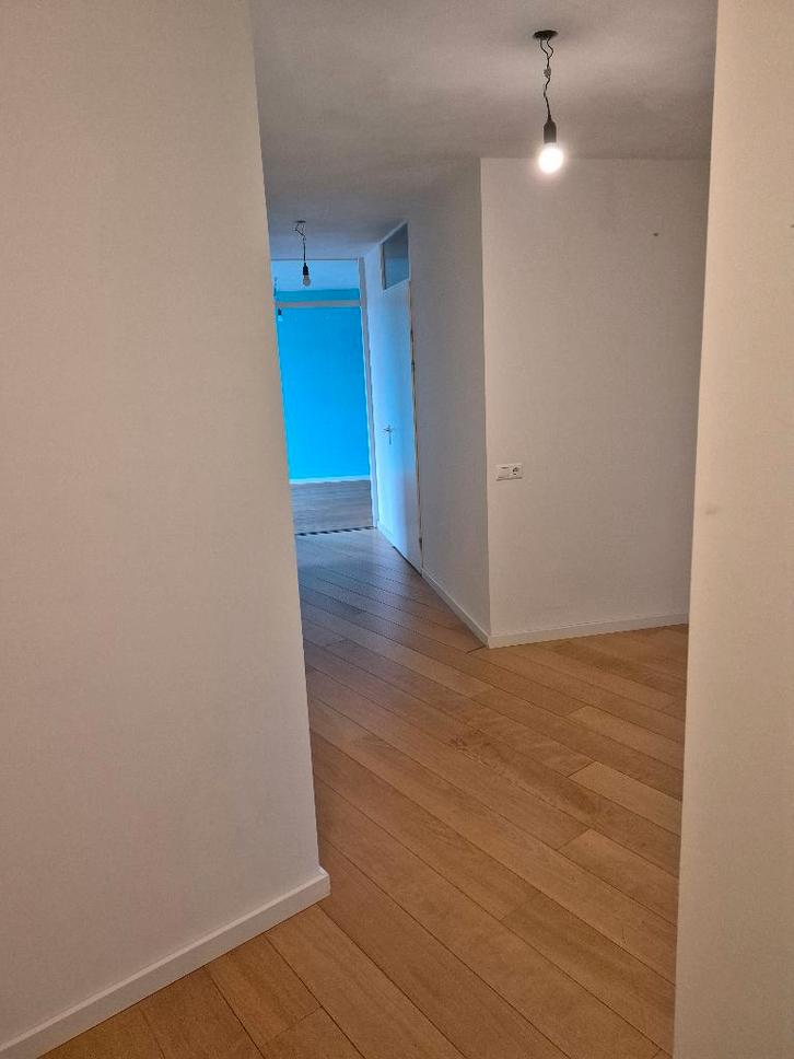 Robijn houten vloer GRATIS ~55 m^2 ophalen 3 maart Waalwijk, Doe-het-zelf en Verbouw, Vloerdelen en Plavuizen, Gebruikt, Vloerdelen of -planken