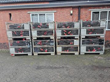 Grote partij krachtstroomkabel 32A 400V 5G4 25 meter beschikbaar voor biedingen