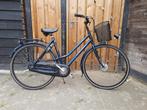 Gazelle Touche frameh 53 met 7x Nexus versnellingen, Overige merken, 53 tot 56 cm, Versnellingen, Ophalen of Verzenden