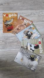 NIEUW Tijdschrift VOGELS 2025 compleet, Boeken, Tijdschriften en Kranten, Ophalen of Verzenden, Nieuw, Wetenschap en Natuur