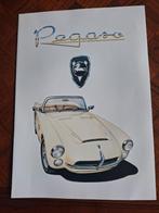 Pegaso, Ophalen of Verzenden, Zo goed als nieuw, Overige merken