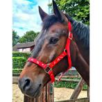 Rood Paardenhalster met swarovski steentjes maat Cob, Info@meriescreations.nl, MeriesCreations, Nieuw, MeriesCreations