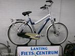 Sparta NEWTON, Sparta, Gebruikt, 49 tot 53 cm
