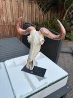 Buffalo Skull buffel schedel Wanddecoratie, Ophalen of Verzenden, Nieuw