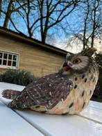Beeld grijze uil, tuin, bomen, gazon, vijver 30cm, Ophalen of Verzenden, Nieuw, Kunststof, Dierenbeeld