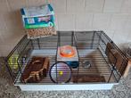 Hamsterkooi met benodigdheden, Dieren en Toebehoren, Knaagdieren en Konijnen | Hokken en Kooien, Kooi, Minder dan 75 cm, Hamster