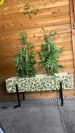 Gemozaiekte Plantenbak 91 cm, Tuin en Terras, Bloembakken en Plantenbakken, Ophalen, Overige materialen, Gebruikt, Binnen