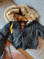 Zwarte Parajumpers dames jas XL, Ophalen of Verzenden, Zo goed als nieuw, Maat 46/48 (XL) of groter, Zwart