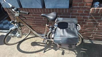 giant twist  beschikbaar voor biedingen