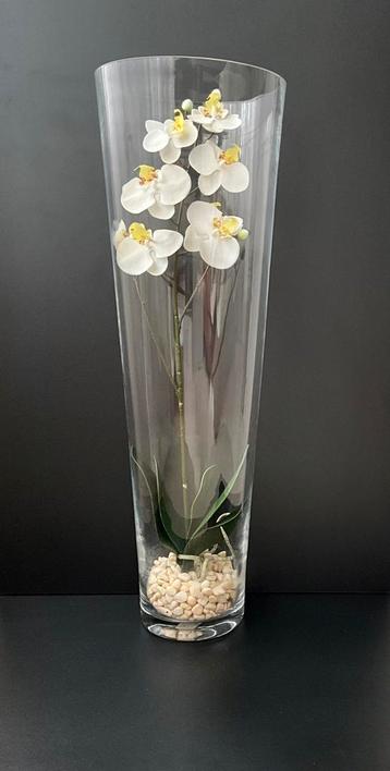 Mooie zware glazen cilindervaas met witte orchidee beschikbaar voor biedingen