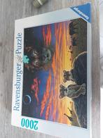 Ravensburger Puzzel - Leeuwenfamilie - 2000 stukjes, Ophalen, Meer dan 1500 stukjes, Zo goed als nieuw, Legpuzzel