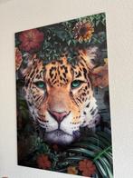Glazen poster/schilderij, Ophalen, Zo goed als nieuw, Foto of Poster