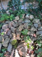 Tuin Stenen / Keien - Gratis Af te Halen, Tuin en Terras, Ophalen, Overige materialen, Gebruikt, Kei