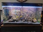 Aquarium compleet, Dieren en Toebehoren, Ophalen, Zo goed als nieuw, Leeg aquarium