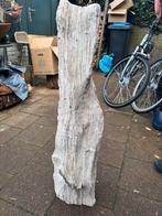 Gefossiliseerd Houten Stronk - Decoratief Object, Ophalen, Fossiel