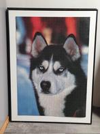 Schilderij/ puzzel van een  Husky, Ophalen, Minder dan 50 cm, Zo goed als nieuw, Minder dan 50 cm