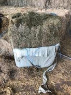 pakjes hooi in folie 100 kg, Dieren en Toebehoren, Dierenvoeding, Ophalen, Vee