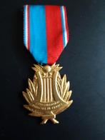 Franse Cultuur onderscheiding, medaille,  embleem, Ophalen of Verzenden, Landmacht, Overige gebieden, Lintje, Medaille of Wings