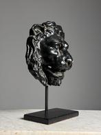 Terra Cotta Leeuwenkop fontein masker, Ophalen