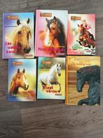 6 paardenboeken van Lauren Brooks en Christine linneweever, Ophalen of Verzenden, Zo goed als nieuw