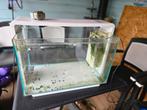 Superfish home 60l aquarium met led, Ophalen, Zo goed als nieuw, Leeg aquarium
