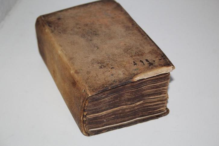 Henricus de Frein - Een strydende heilige 2 dln (perkament), Boeken, Godsdienst en Theologie, Gelezen, Christendom | Protestants