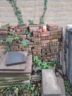 Klinkers - Gratis, Dieren en Toebehoren, Vogels | Overige Vogels, Meerdere dieren