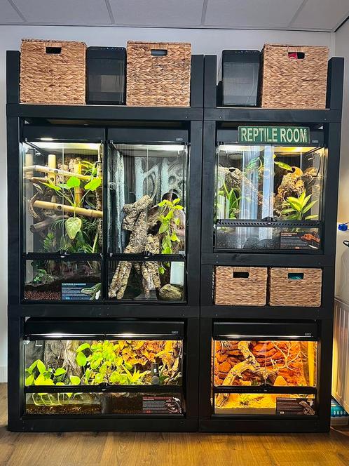 Terrarium Label / Informatie Kaart | Reptielen en Amfibieën, Dieren en Toebehoren, Reptielen en Amfibieën | Toebehoren, Nieuw