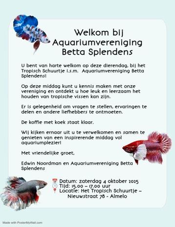 Zie foto  4 oktober  beschikbaar voor biedingen