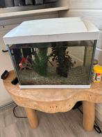Aquarium, Dieren en Toebehoren, Vissen | Aquaria en Toebehoren, Ophalen of Verzenden, Zo goed als nieuw, Leeg aquarium