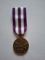 Kosovo medaille kopie, Ophalen of Verzenden, Landmacht, Nederland, Embleem of Badge