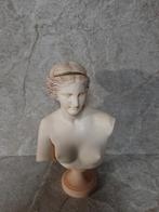 Aphrodite Buste - Venus Godin van de Liefde Albast, Ophalen of Verzenden