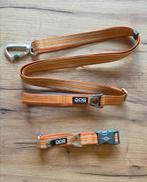 Dog Copenhagen set Orange Sun, Dieren en Toebehoren, Ophalen of Verzenden, Zo goed als nieuw, Hondenriem