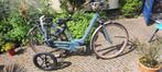 elektrische fiets met afneembare swinging wheels, Fietsen en Brommers, Elektrische fietsen, Ophalen of Verzenden, 50 km per accu of meer