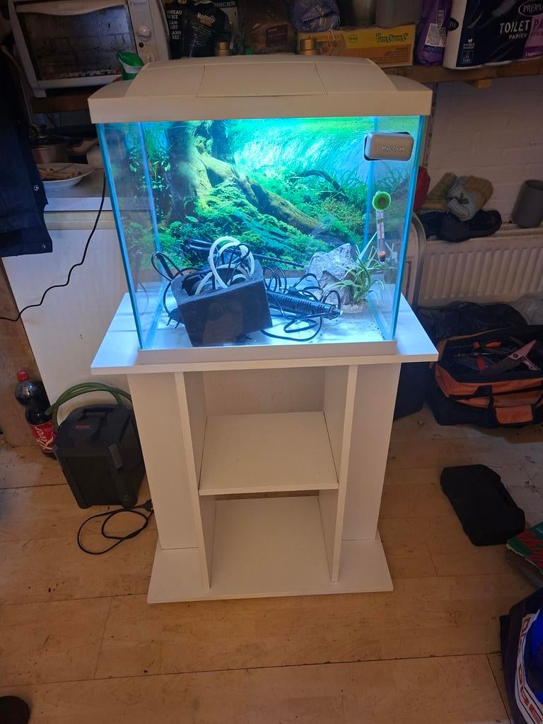 Superfish start 50 complete aquarium, Dieren en Toebehoren, Ophalen, Zo goed als nieuw, Leeg aquarium
