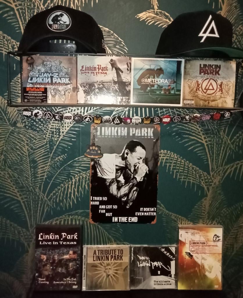 Grote en mooie Linkin Park collectie!!!, Verzamelen, Ophalen of Verzenden, Zo goed als nieuw, Overige typen