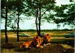 Beekse Bergen Safaripark Hilvarenbeek - 2 ansichtkaarten, Verzenden, 1960 tot 1980, Gelopen, Noord-Holland