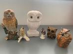Uilen verzameling - Goebel Germany +++ Andere Brutalist uil, Ophalen of Verzenden, Zo goed als nieuw, Dier