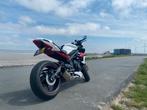 Triumph Street Triple 675r, Particulier