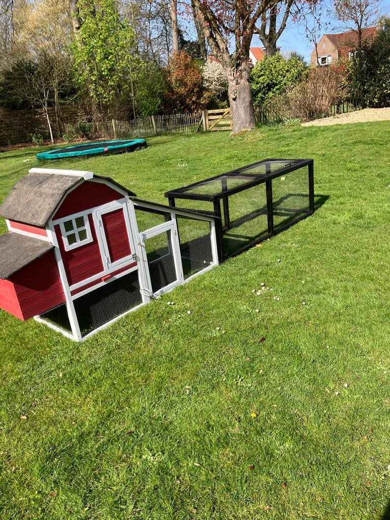 Royaal konijnenhok te koop, Dieren en Toebehoren, Knaagdieren en Konijnen | Hokken en Kooien, Ophalen, 90 cm of meer, Konijn, Hok