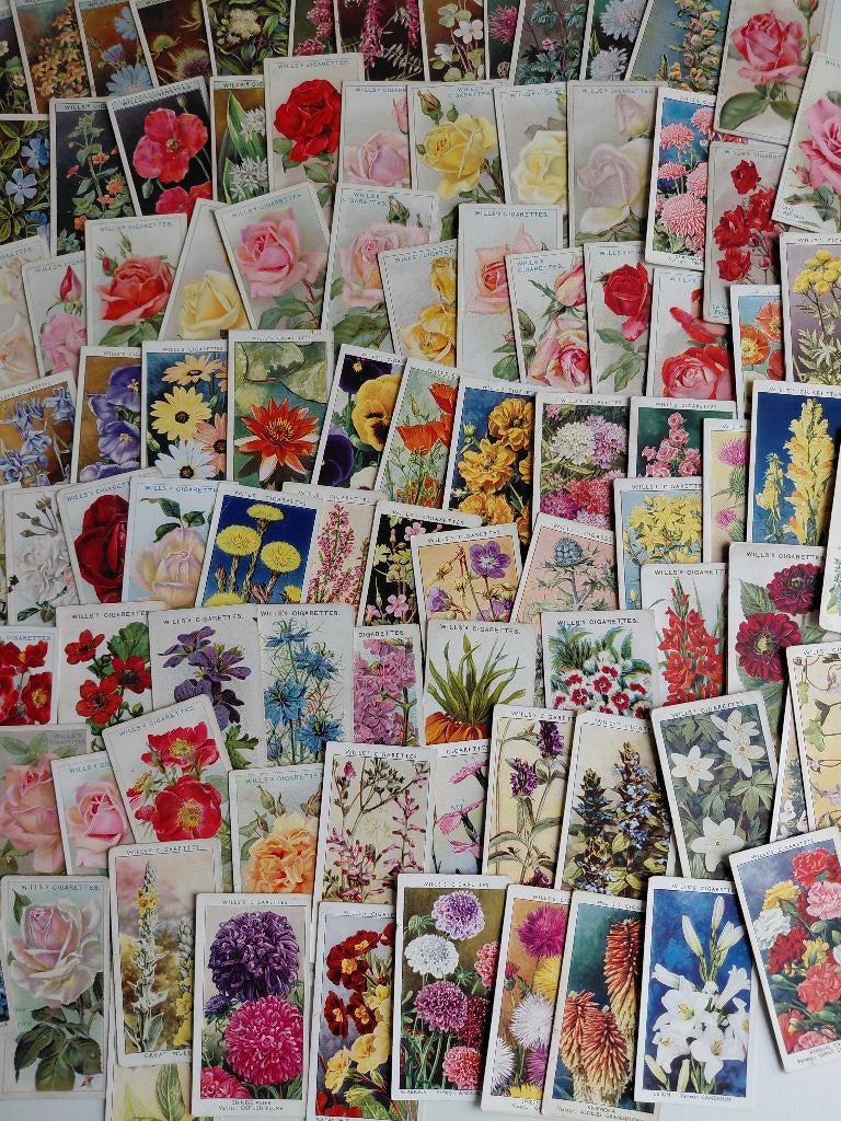 100 verschillende vintage cigarette cards BLOEMEN, Hobby en Vrije tijd, Scrapbooking, Ophalen, Gebruikt, Overige typen, Overige merken