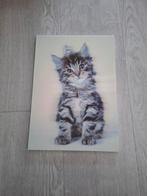 Hologram schilderij poes, Ophalen, Schilderij, Minder dan 50 cm