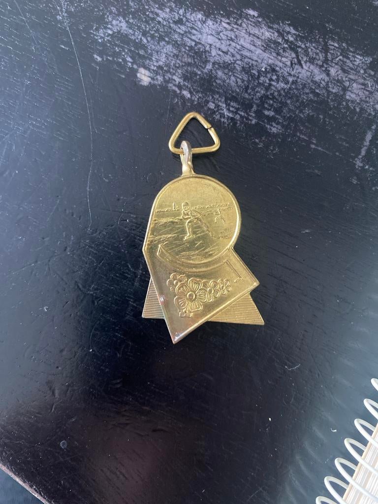 Elfstedentocht medaille, Postzegels en Munten, Penningen en Medailles, Ophalen of Verzenden, Overige materialen, Nederland