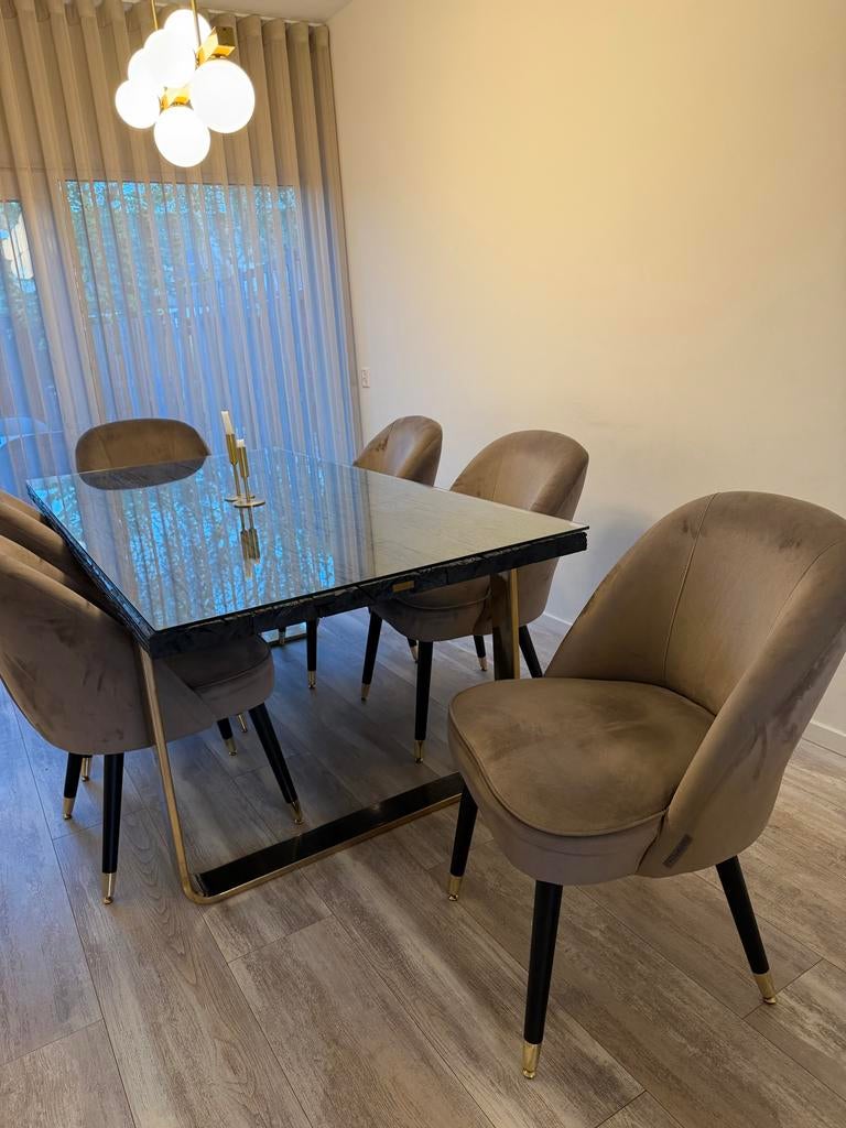 Richmond Eettafel 230 x 100en Stoelen, Ophalen, Overige kleuren, Zo goed als nieuw, Metaal