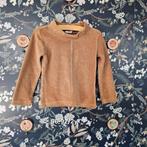 Hema Velours Trui - Maat 86/92 (2 jaar), Kinderen en Baby's, Kinderkleding | Maat 92, Meisje, Trui of Vest, Ophalen of Verzenden