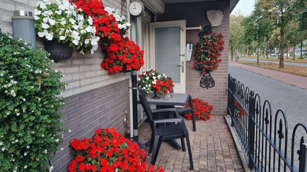 2 x originele koeien drinkbakken, Ophalen, Rond