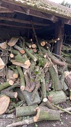 Brand hout, Tuin en Terras, 6 m³ of meer, Ophalen, Blokken